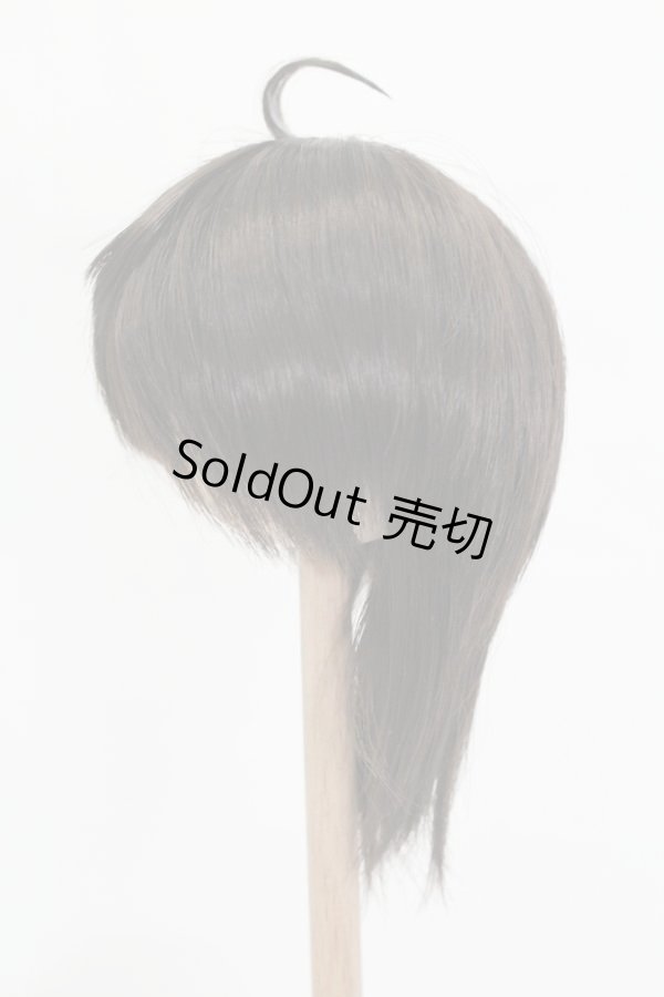 画像2: ウィッグ/8.5inch:Medium Cowlick:MSireDoll製 S-25-06-01-438-GN-ZS (2)