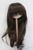 画像1: ウィッグ/9-10inch S-25-04-13-390-GN-ZS (1)