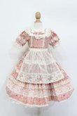 画像1: SD/OF:RoseGardenセット:Melody.C様製 S-25-04-20-402-GN-ZS (1)