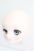 画像2: DD/DDH-01:m.t*様カスタムメイクヘッド&ウィッグ＆アイ S-25-04-13-457-GN-ZS (2)