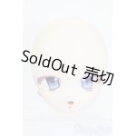 画像: DD/DDH-01:カスタムヘッド S-25-02-23-437-GN-ZS