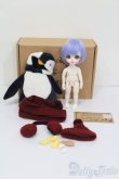 画像5: Withdoll/Poppy:Penguins Holiday S-25-03-30-428-GN-ZS (5)