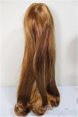 画像2: ウィッグ/9-10inch/インチ　BJD　MJD　ドール用 A-25-08-20-186-GN-ZA (2)