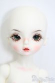 画像4: Gem of Doll/mimi:mushroom S-24-12-08-384-GN-ZS (4)