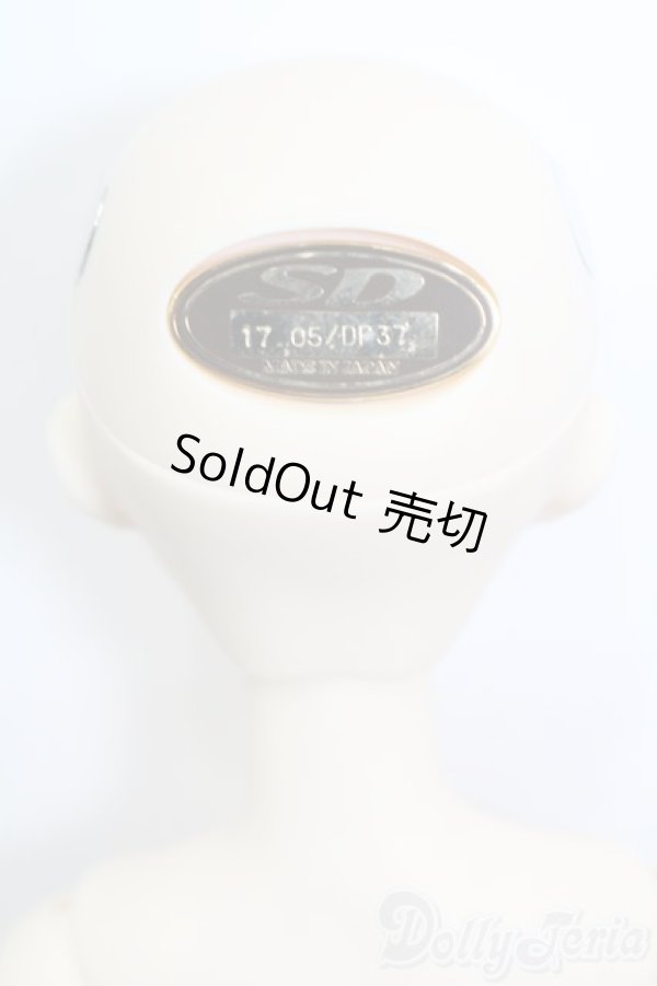 画像4: SDCute/黒猫ルネ(Rene the Black Cat) S-25-07-27-417-GN-ZS (4)