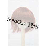 画像: ウィッグ/9-10inch/インチ　BJD　MJD　ドール用 A-25-06-25-391-GN-ZA