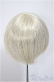 画像2: ウィッグ/9-10inch/インチ　BJD　MJD　ドール用 A-25-08-13-395-GN-ZA (2)