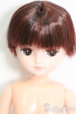 画像1: キャッスル/きらちゃん:おたのしみドール S-25-02-09-441-GN-ZS (1)