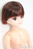 画像3: キャッスル/きらちゃん:おたのしみドール S-25-02-09-441-GN-ZS (3)