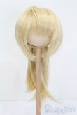 画像1: ウィッグ/8-9inch S-25-03-23-311-GN-ZS (1)