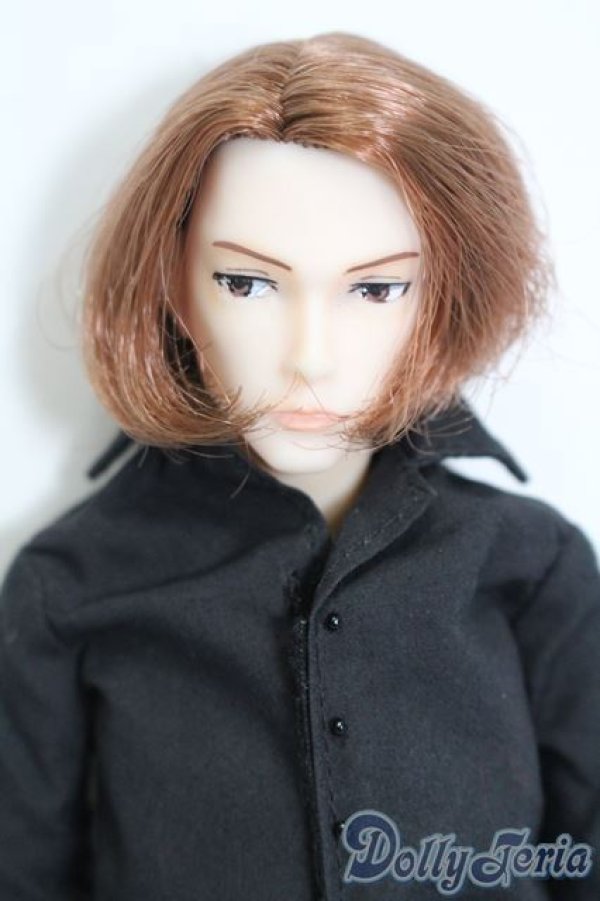 画像1: petworks/六分の一男子図鑑:ナイン S-25-03-16-374-GN-ZS (1)