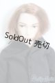 画像: petworks/六分の一男子図鑑:ナイン S-25-06-29-668-GN-ZS