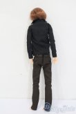 画像5: petworks/六分の一男子図鑑:ナイン S-25-03-16-374-GN-ZS (5)