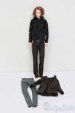 画像6: petworks/六分の一男子図鑑:ナイン S-25-03-16-374-GN-ZS (6)
