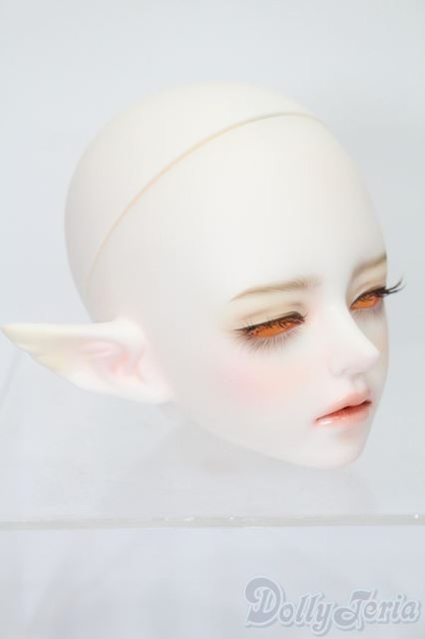 画像3: LUTS/Senior65 Delf DIAN Romance Elf UNICORN ver. S-25-03-30-464-GN-ZS (3)