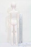 画像6: LITTLEMONICA/Little Boy Body+GEMSヘッド S-25-03-30-441-GN-ZS (6)