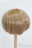 画像2: ウィッグ/7-8inch S-25-04-20-368-GN-ZS (2)