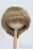画像1: ウィッグ/7-8inch S-25-03-04-348-GN-ZS (1)