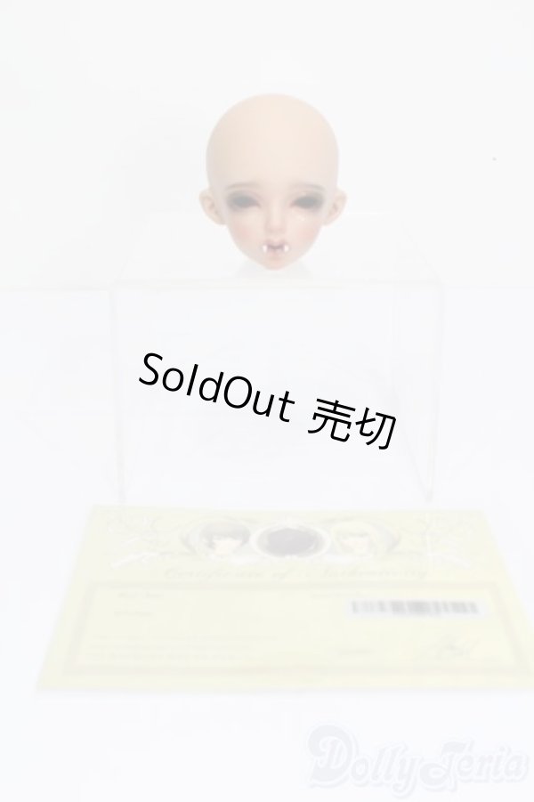 画像5: Fairyland/Ariel head S-25-02-23-394-GN-ZS (5)