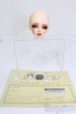 画像5: Fairyland/Ariel head S-25-04-20-528-GN-ZS (5)