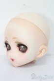 画像2: DD/DDH-10:Teafin様製カスタムメイクヘッド S-25-05-11-581-GN-ZS (2)
