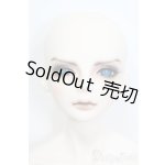 画像: LUTS/Senior65 Delf DIEZ Limited 2015ver. S-25-05-04-645-GN-ZS