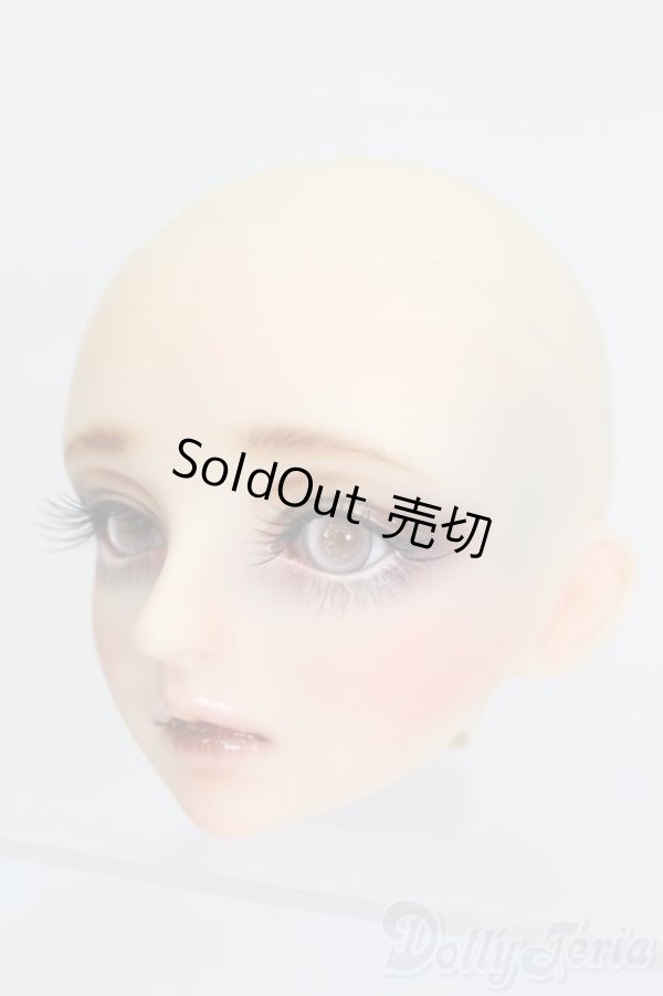 画像2: SD/フルチョイス:SDF-34ヘッド S-25-12-21-360-GN-ZS (2)