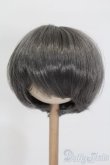 画像1: ウィッグ/8-9inch S-25-01-26-447-GN-ZS (1)