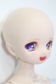画像3: DD/DDH-01カスタムヘッド+MDD3ベースボディ(EXあさちゃんちフレーム)セット S-24-12-08-397-GN-ZS (3)