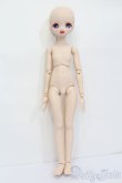 画像4: DD/DDH-01カスタムヘッド+MDD3ベースボディ(EXあさちゃんちフレーム)セット S-24-12-08-397-GN-ZS (4)