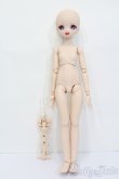 画像6: DD/DDH-01カスタムヘッド+MDD3ベースボディ(EXあさちゃんちフレーム)セット S-24-12-08-397-GN-ZS (6)