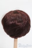 画像2: ウィッグ/8-9inch S-25-04-20-323-GN-ZS (2)