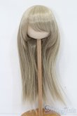 画像1: ウィッグ/9inch S-25-03-30-402-GN-ZS (1)