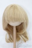 画像1: ウィッグ/8-9inch S-25-03-04-338-GN-ZS (1)