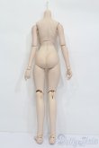 画像2: DDS/ベースボディ S-24-12-08-399-GN-ZS (2)