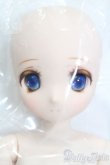 画像2: azone/Iris Collect petit：こはる With happinessver.1.1 S-25-02-09-424-GN-ZS (2)