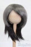 画像1: ウィッグ/6-7inch S-25-02-18-379-GN-ZS (1)