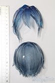 画像4: レジンウィッグ/9inch S-25-04-13-460-GN-ZS (4)