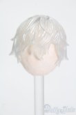 画像1: レジンウィッグ/4inch S-25-03-30-490-GN-ZS (1)