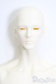 画像1: GRANADO/Male Body 32Evolve S-24-10-06-284-GN-ZS (1)