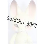 画像: KUMUKUKU DOLL/PETAL VILL:Kiri S-25-02-23-362-GN-ZS