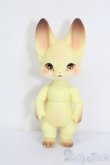 画像4: KUMUKUKU DOLL/PETAL VILL:Kiri S-25-02-23-362-GN-ZS (4)