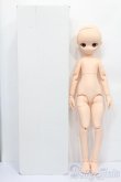 画像6: PARABOX/乙姫ドール S-25-01-26-001-GN-ZS (6)