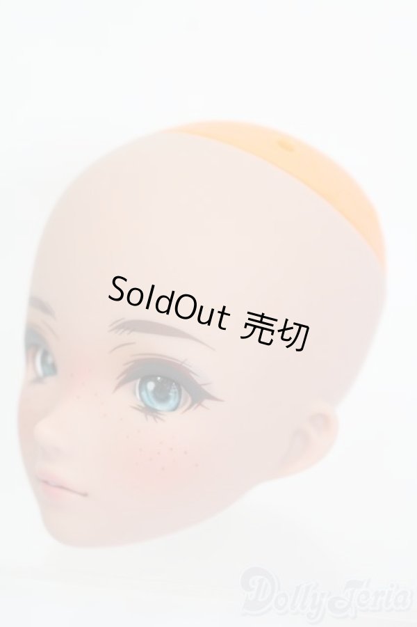 画像2: SmartDoll/Fortitude S-25-12-14-526-GN-ZS (2)