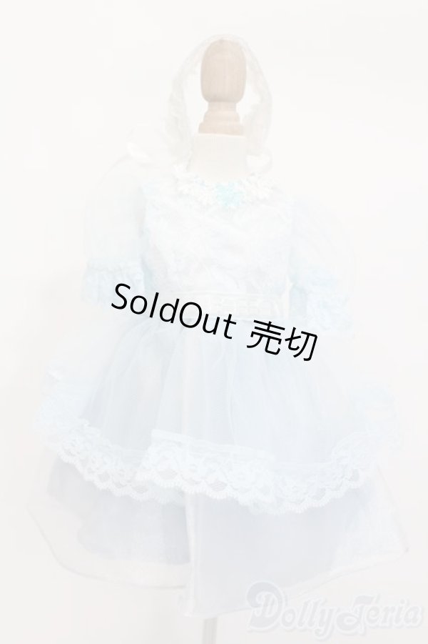 画像1: SDM＆MSD/OF:ワンピース S-25-02-16-361-GN-ZS (1)