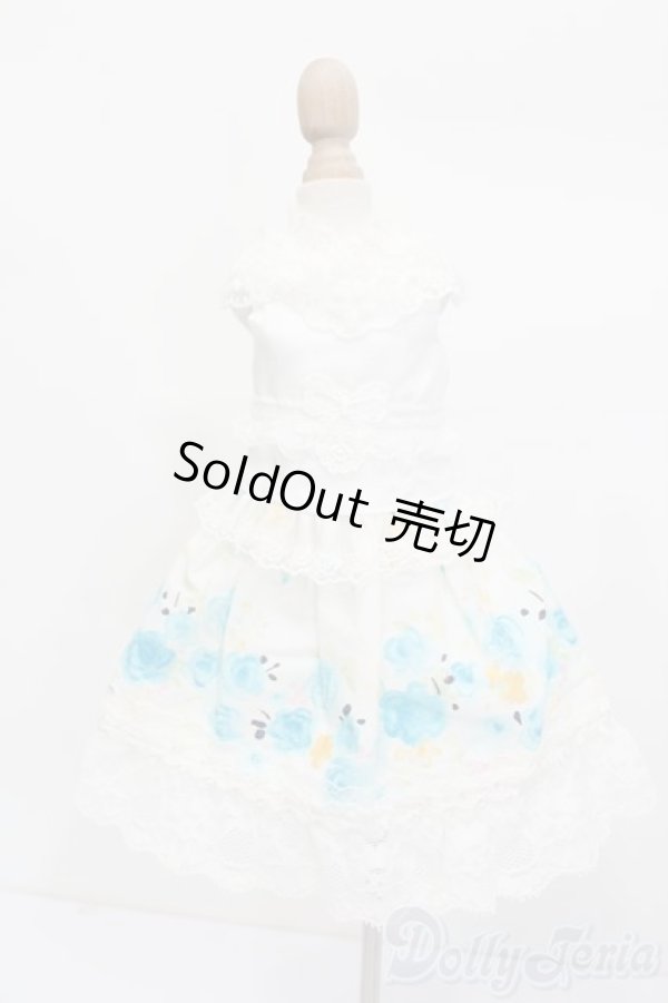 画像1: SDM＆MSD/OF:ワンピース S-25-03-16-309-GN-ZS (1)