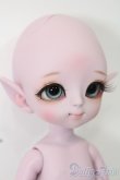 画像3: LUTS/Tiny Delf HANSEL Elf ver. S-25-04-20-539-GN-ZS (3)