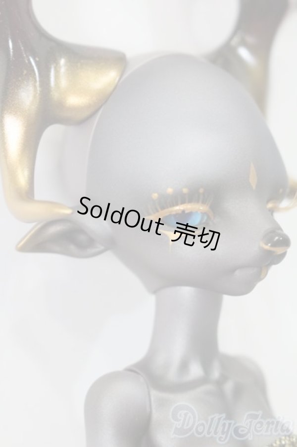 画像3: DollPamm/Darkness TIRKA set S-25-06-01-717-GN-ZS (3)