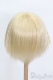 画像2: 9-10inch/ウィッグ S-25-04-13-395-GN-ZS (2)