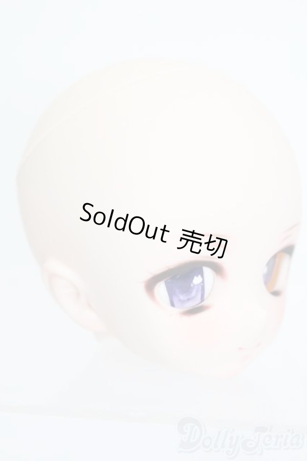 画像3: DDH-01/カスタムヘッド:のーみつろまんちか様製 S-25-11-02-503-GN-ZS (3)